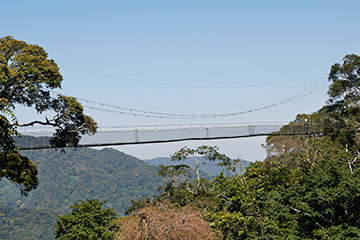 深圳到基加利国际空运